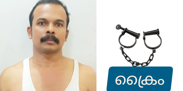 നിരവധി മോഷണ കേസുകളിലെ പ്രതി: ഏഴ് വർഷങ്ങൾക്കു ശേഷം പിടിയിൽ