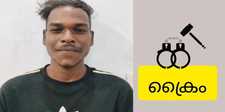 കാപ്പ നിയമം ലംഘിച്ചതിന്: നിരവധി ക്രിമിനൽ കേസിൽ പ്രതിയെ അറസ്റ്റ് ചെയ്തു