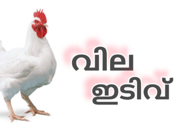 സംസ്ഥാനത്ത് കോഴിവിലയിൽ വൻ ഇടിവ്; ഇറക്കുമതി കൂടിയതുമാണ് വില കുത്തനെ കുറയുവാൻ കാരണം