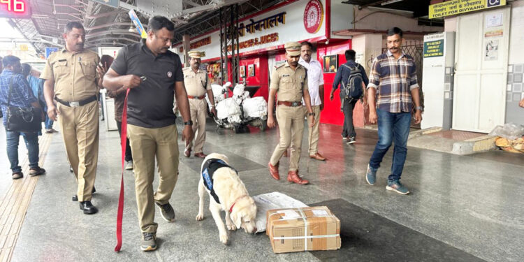സ്വാതന്ത്ര്യദിനാഘോഷ ചടങ്ങുമായി ബന്ധപ്പെട്ട് ജില്ലയിൽ ശക്തമായ പരിശോധന