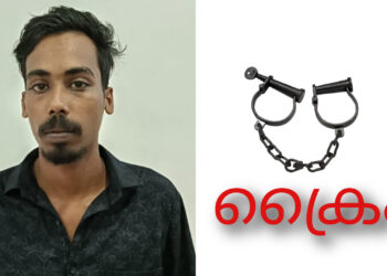 പ്രായപൂർത്തിയാകാത്ത ആൺകുട്ടിയെ കൊണ്ട് യുവാവിനെതിരെ വ്യാജ പോക്സോ കേസ് കൊടുപ്പിച്ച: കാപ്പ പ്രതിയെ പോലീസ് അറസ്റ്റ് ചെയ്തു