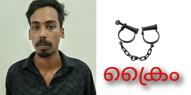 പ്രായപൂർത്തിയാകാത്ത ആൺകുട്ടിയെ കൊണ്ട് യുവാവിനെതിരെ വ്യാജ പോക്സോ കേസ് കൊടുപ്പിച്ച: കാപ്പ പ്രതിയെ പോലീസ് അറസ്റ്റ് ചെയ്തു