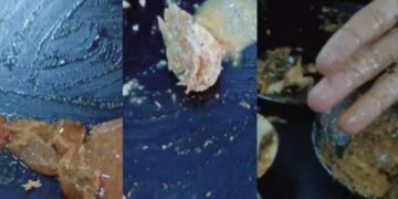 ചിക്കൻ കറിയിൽ ജീവനുള്ള പുഴുക്കൾ: ഇടുക്കിയിൽ ഹോട്ടൽ അടപ്പിച്ചു