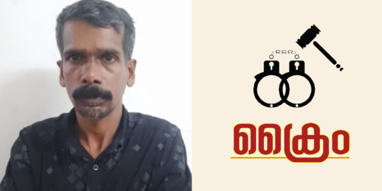 വിൽപ്പനയ്ക്കായി കൊണ്ടുവന്ന നിരോധിത പുകയില ഉൽപ്പന്നങ്ങളുമായി യുവാവ് പിടിയിൽ