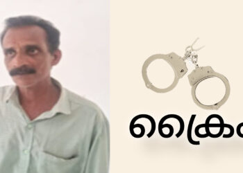 പള്ളിമുറ്റത്ത് വെച്ച് പ്രാര്‍ത്ഥനക്കായെത്തിയ വയോധികയുടെ മാല കവർന്ന പ്രതി പിടിയിൽ