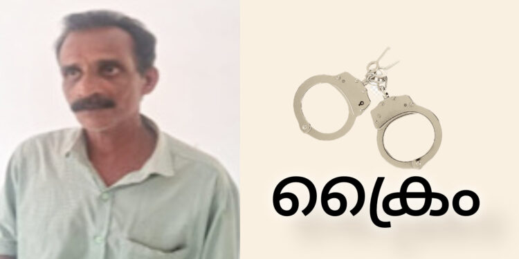 പള്ളിമുറ്റത്ത് വെച്ച് പ്രാര്‍ത്ഥനക്കായെത്തിയ വയോധികയുടെ മാല കവർന്ന പ്രതി പിടിയിൽ