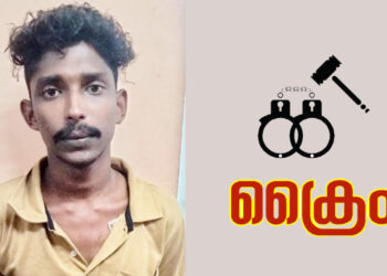 വീട്ടമ്മയെ ആക്രമിച്ച കേസിൽ യുവാവ് അറസ്റ്റിൽ