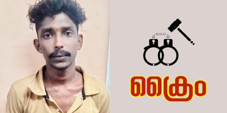 വീട്ടമ്മയെ ആക്രമിച്ച കേസിൽ യുവാവ് അറസ്റ്റിൽ