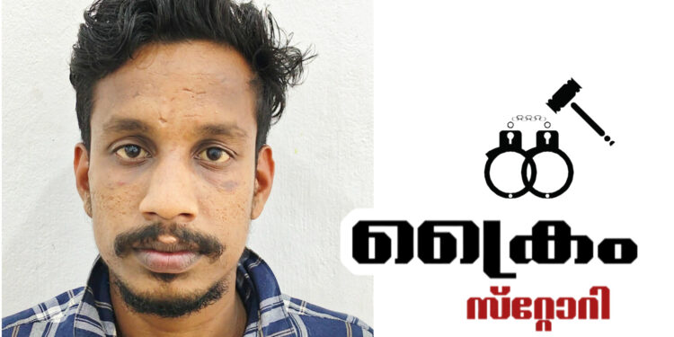 വയോധികയുടെ മാല കവർച്ച ചെയ്ത കേസിൽ യുവാവ് അറസ്റ്റിൽ