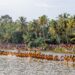 ജനങ്ങളെ ഒന്നിപ്പിക്കുന്ന ഏറ്റവും വലിയ കലയാണ് ജലോത്സവം: ഗോവ ഗവർണർ അഡ്വ പി ശ്രീധരന് പിള്ള