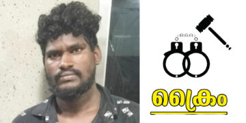 പോലീസ് കസ്റ്റഡിയിൽനിന്ന് ചാടിപ്പോയ കുറുവസംഘാംഗമെന്ന് സംശയിക്കുന്നയാളെ പിടികൂടി