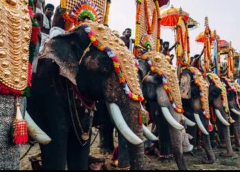 സംസ്ഥാനത്ത് ആന എഴുന്നള്ളിപ്പുമായി ബന്ധപ്പെട്ട് വിശദമായ മാര്‍ഗനിര്‍ദേശങ്ങളുമായി ഹൈക്കോടതി