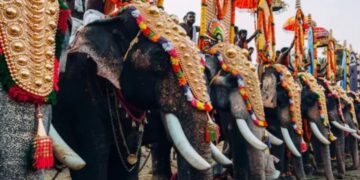സംസ്ഥാനത്ത് ആന എഴുന്നള്ളിപ്പുമായി ബന്ധപ്പെട്ട് വിശദമായ മാര്‍ഗനിര്‍ദേശങ്ങളുമായി ഹൈക്കോടതി