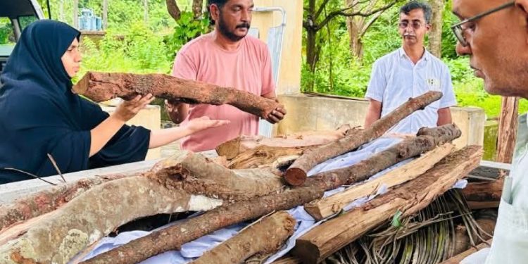 മതത്തിനും രാഷ്ട്രീയത്തിനും മുകളിൽ മനുഷ്യത്വം; നാരായണേട്ടന് മകളുടെ സ്ഥാനത്തുനിന്ന് അന്ത്യകർമ്മങ്ങൾ ചെയ്ത് ഇർഫാന