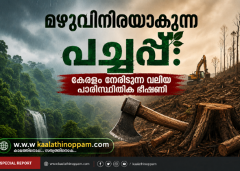 പച്ചപ്പ്‌ മായുന്ന കേരളം: നിയമനിർമ്മാണം വൈകിയാൽ കാത്തിരിക്കുന്നത് വൻ പ്രകൃതിദുരന്തങ്ങൾ