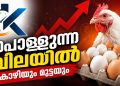 പൊള്ളുന്ന വിലയിൽ കോഴിയും മുട്ടയും; സംസ്ഥാനത്ത് കടുത്ത പ്രതിസന്ധിയിൽ കർഷകരും ഉപഭോക്താക്കളും!