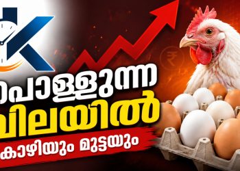 പൊള്ളുന്ന വിലയിൽ കോഴിയും മുട്ടയും; സംസ്ഥാനത്ത് കടുത്ത പ്രതിസന്ധിയിൽ കർഷകരും ഉപഭോക്താക്കളും!