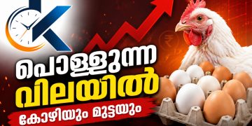 പൊള്ളുന്ന വിലയിൽ കോഴിയും മുട്ടയും; സംസ്ഥാനത്ത് കടുത്ത പ്രതിസന്ധിയിൽ കർഷകരും ഉപഭോക്താക്കളും!