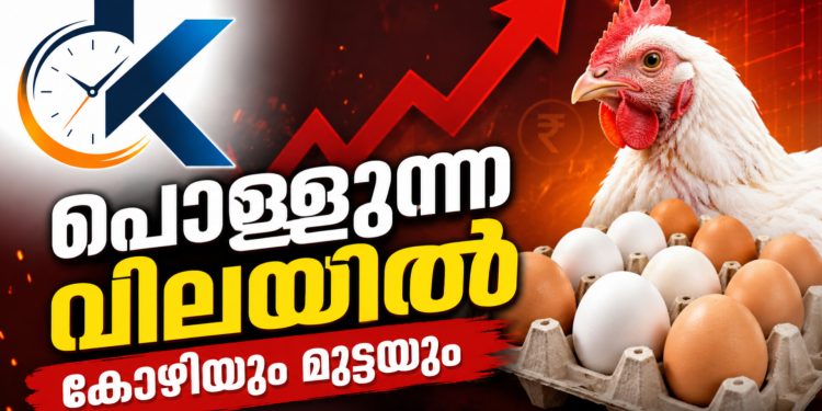 പൊള്ളുന്ന വിലയിൽ കോഴിയും മുട്ടയും; സംസ്ഥാനത്ത് കടുത്ത പ്രതിസന്ധിയിൽ കർഷകരും ഉപഭോക്താക്കളും!