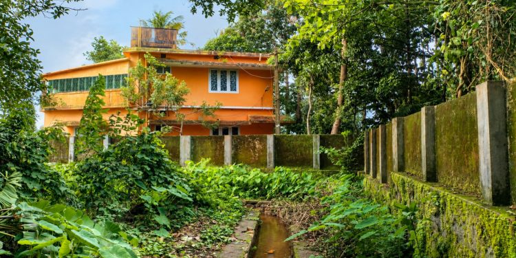 42 വർഷമായി ഉപയോഗിക്കുന്ന ഏക വഴി അടയ്ക്കാൻ നീക്കം; ചീഫ് സെക്രട്ടറിയെയും പിഡബ്ല്യുഡി ചീഫ് എൻജിനീയറെയും സമീപിച്ച് മാവേലിക്കരയിലെ വൃദ്ധദമ്പതികൾ