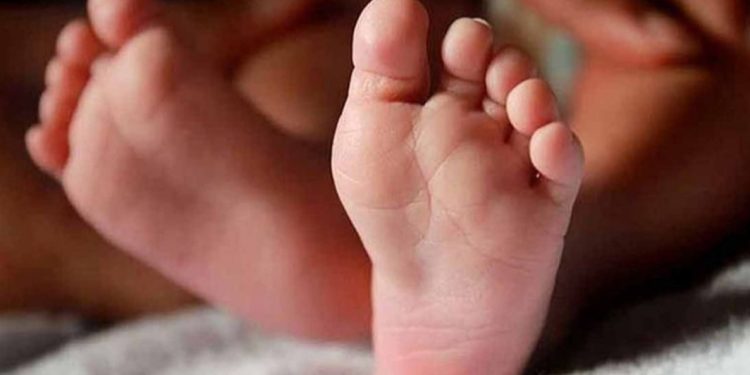 ആംബുലൻസ് വൈകി; ആശുപത്രിയിലേക്കുള്ള യാത്രയ്ക്കിടെ ഓട്ടോറിക്ഷയിൽ യുവതി നാലു കുഞ്ഞുങ്ങൾക്ക് ജന്മം നൽകി, നാലുപേരും മരിച്ചു
